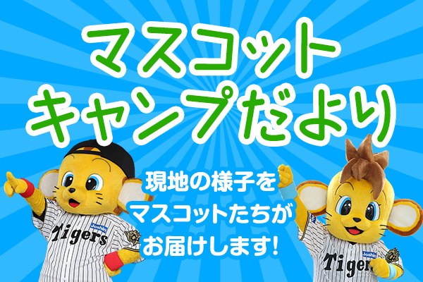 キー太のキャンプだより