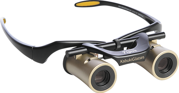 PARKER虎文様 蒔絵万年筆