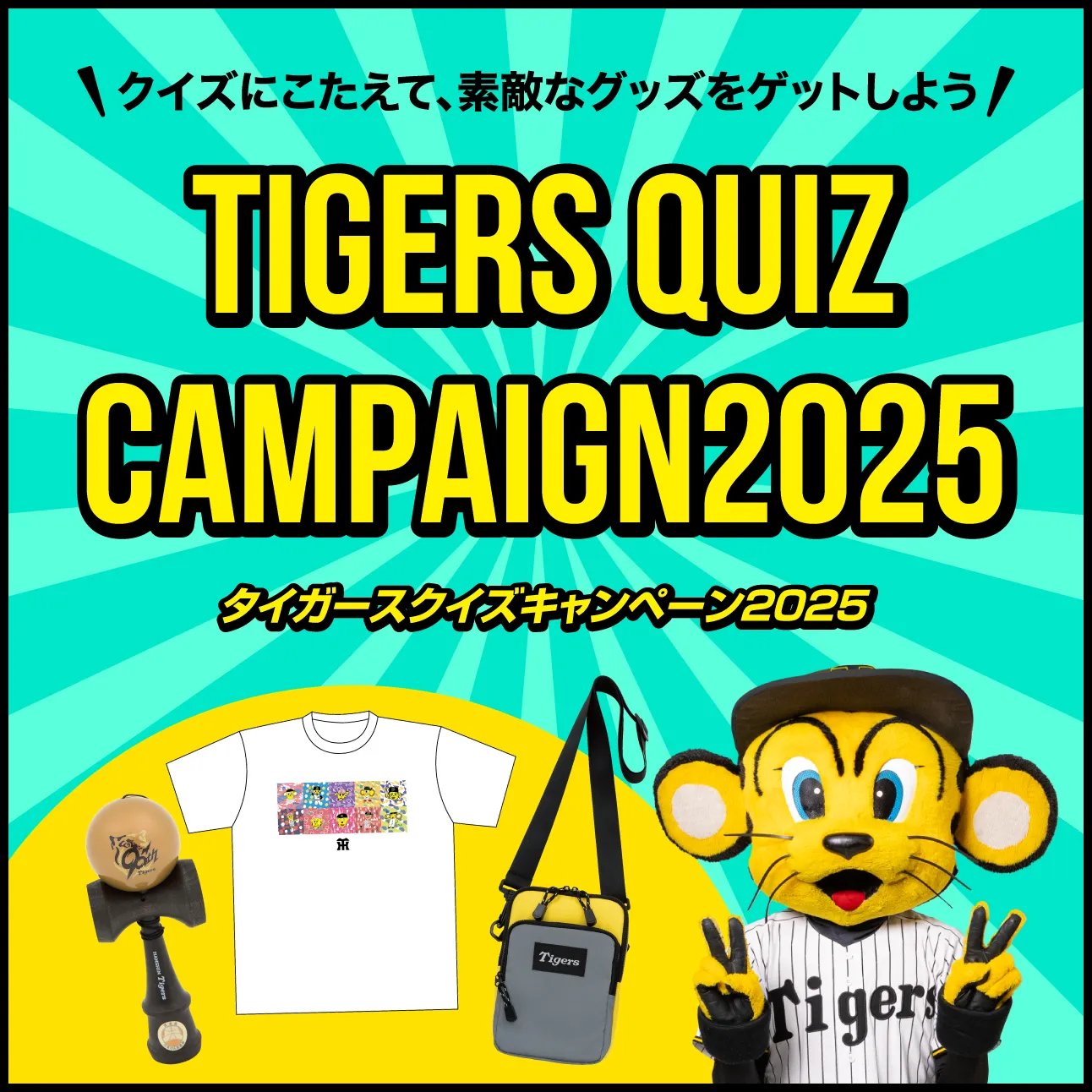 キャンペーンはこちら