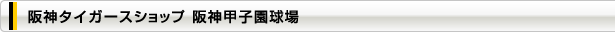 阪神甲子園球場