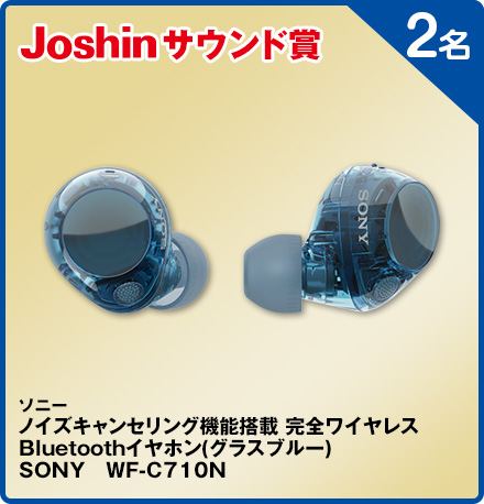 ソニーノイズキャンセリング機能搭載 完全ワイヤレス Bluetoothイヤホン(グラスブルー) SONY WF-C710N 2名
