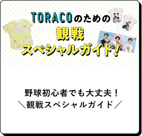 野球初心者でも大丈夫。観戦スペシャルガイド